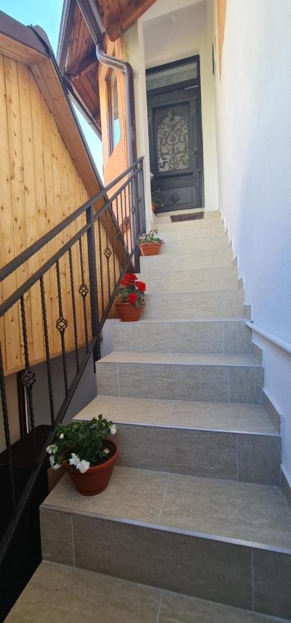 La Ovi Hotel Făgăraş Екстериор снимка